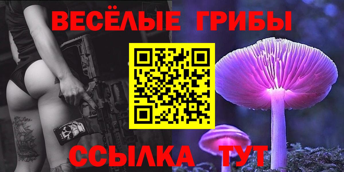 Галлюциногенные грибы Cubensis Бирск